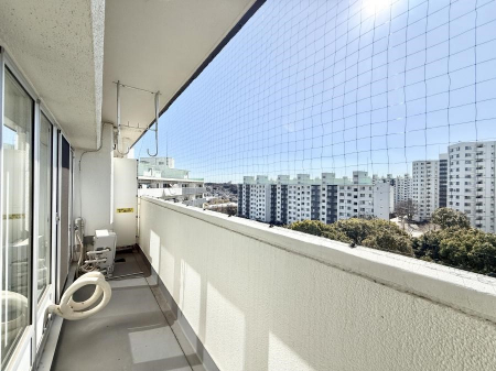 �o���R�j�[�@������ ���R��g�߂Ɋ�����A�J���I�ȃo���R�j�[