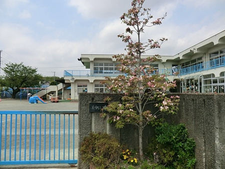 ���ӊ��@�c�t���E�ۈ牀 750m ���ۈ牀