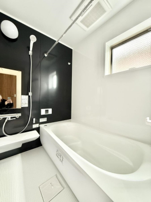 �����@�����������������F�����̕ǖʁA������芰����o�X���[��