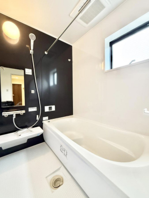 �����@�����������������F�����̕ǖʁA������芰����o�X���[��