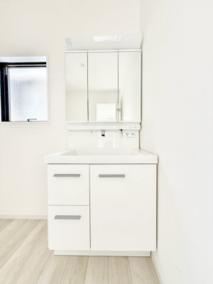 ���ʑ�E���ʏ��@���������̏������X���[�Y�ɂł���L���ł�