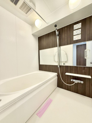 �����@�����������������F�����̕ǖʁA������芰����o�X���[��