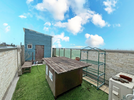 ���̑��@����