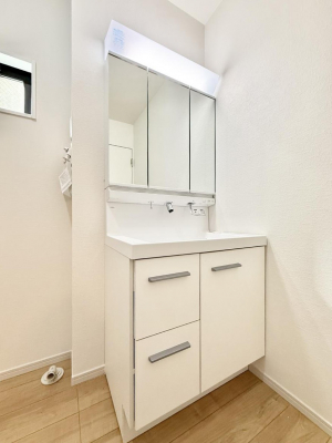 ���ʑ�E���ʏ��@���������̏������X���[�Y�ɂł���L���ł�