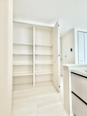 ���[�@�������L�b�`�����ɂ͐H�i�����ɂƂĂ��֗��ȃp���g���[����