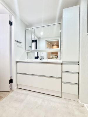 ���ʑ�E���ʏ��@���������̏������X���[�Y�ɂł���L���ł�