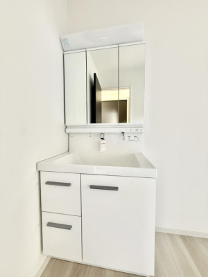 ���ʑ�E���ʏ��@���������̏������X���[�Y�ɂł���L���ł�