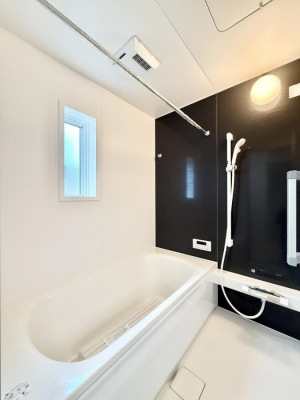 �����@�����������������F�����̕ǖʁA������芰����o�X���[��