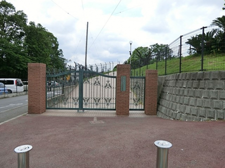 ���ӊ��@�c�t���E�ۈ牀 1100m ��a�݂ǂ肪�u�c�t��