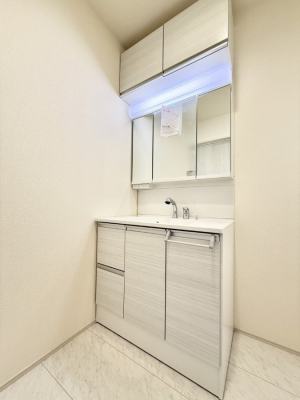 ���ʑ�E���ʏ��@���������̏������X���[�Y�ɂł���L���ł�