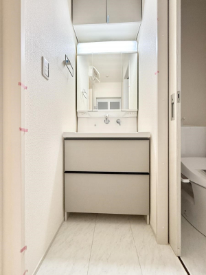 ���ʑ�E���ʏ��@���������̏������X���[�Y�ɂł���L���ł�