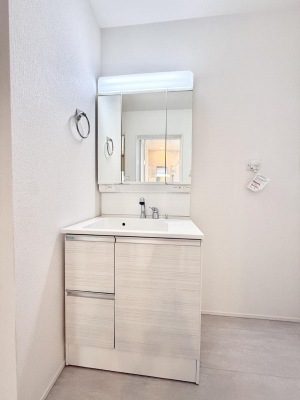 ���ʑ�E���ʏ��@���������̏������X���[�Y�ɂł���L���ł�