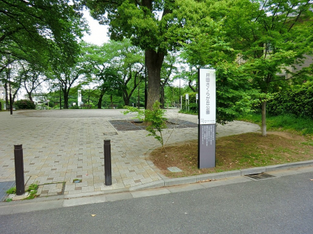 ���ӊ��@���� 500m ��c�����炪�u����