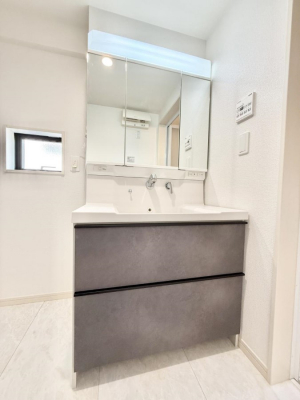 ���ʑ�E���ʏ��@���������̏������X���[�Y�ɂł���L���ł�