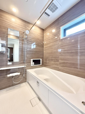 �����@�����������������F�����̕ǖʁA������芰����o�X���[��