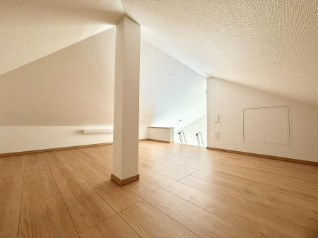 ���̑��@����