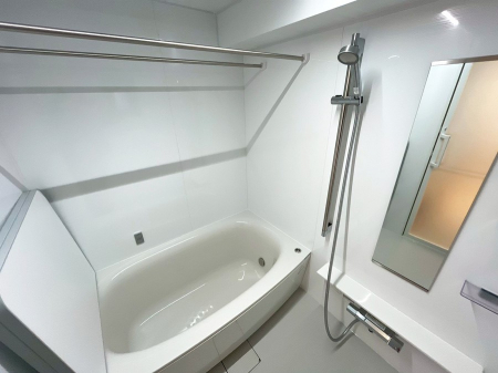 �����@�����������������F�����̕ǖʁA������芰����o�X���[��