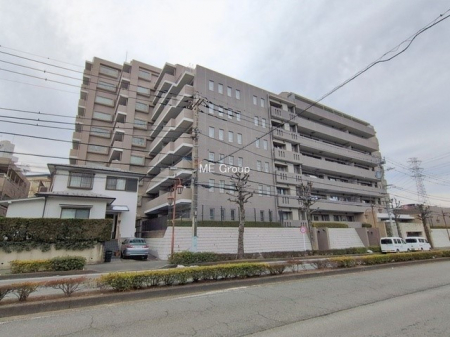 ���n�O�ώʐ^�@�O��