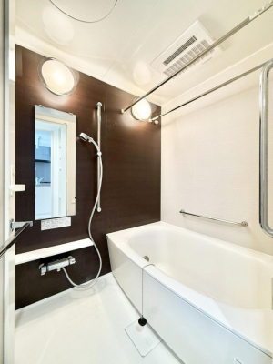 �����@�����������������F�����̕ǖʁA������芰����o�X���[��