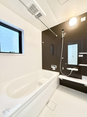 �����@�����������������F�����̕ǖʁA������芰����o�X���[��