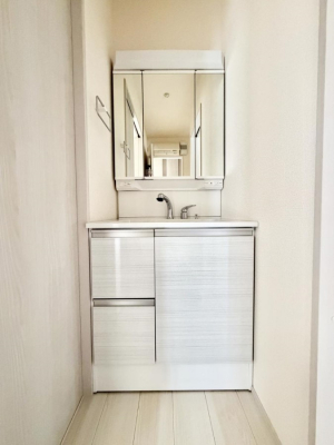 ���ʑ�E���ʏ��@���������̏������X���[�Y�ɂł���L���ł�