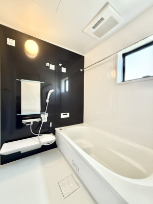 �����@�����������������F�����̕ǖʁA������芰����o�X���[��