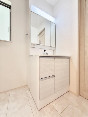 ���ʑ�E���ʏ��@���������̏������X���[�Y�ɂł���L���ł�