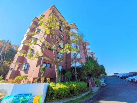 ���n�O�ώʐ^�@�O�ρ��V������炵���n�܂�ꏊ�ŁA�Ƒ����J��[�߂�