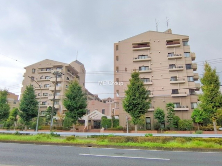 ���n�O�ώʐ^�@�O��