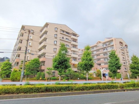 ���n�O�ώʐ^�@�O��