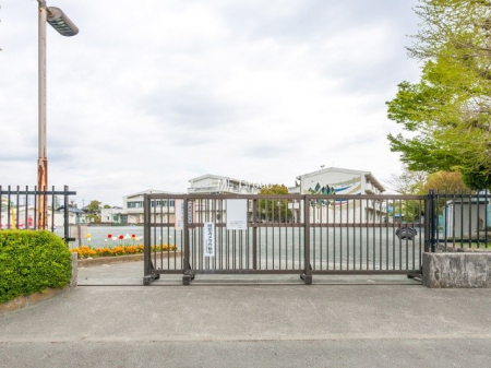 ���ӊ��@���w�Z 550m �H���s���H�������w�Z