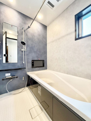 �����@�����������������F�����̕ǖʁA������芰����o�X���[��