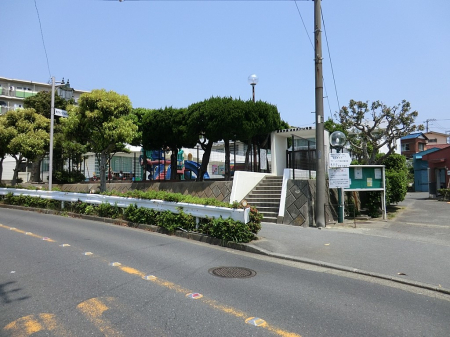 ���ӊ��@�c�t���E�ۈ牀 800m �Ó쒷��c�t��