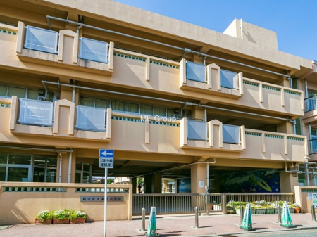 ���ӊ��@���w�Z 300m ���l�s�����g���w�Z