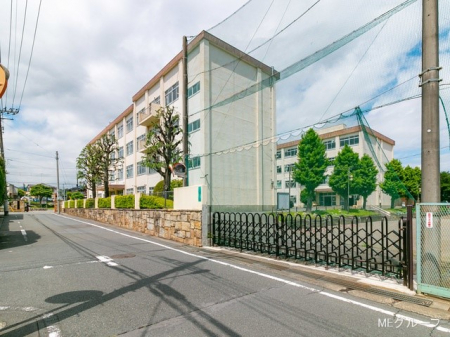 ���ӊ��@���w�Z 990m �����q�s���掵���w�Z