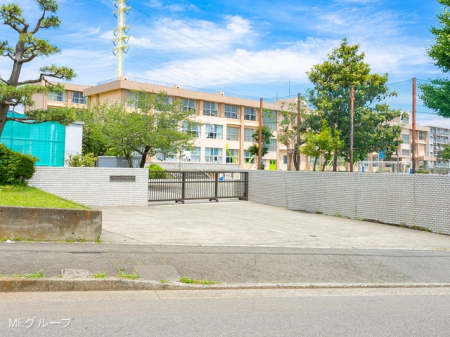 ���ӊ��@���w�Z 800m ����s����돬�w�Z