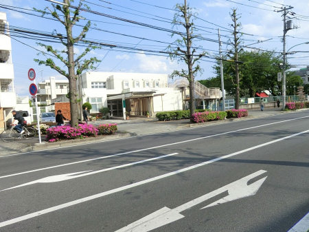 ���ӊ��@�c�t���E�ۈ牀 290m �ނ����̕ۈ牀